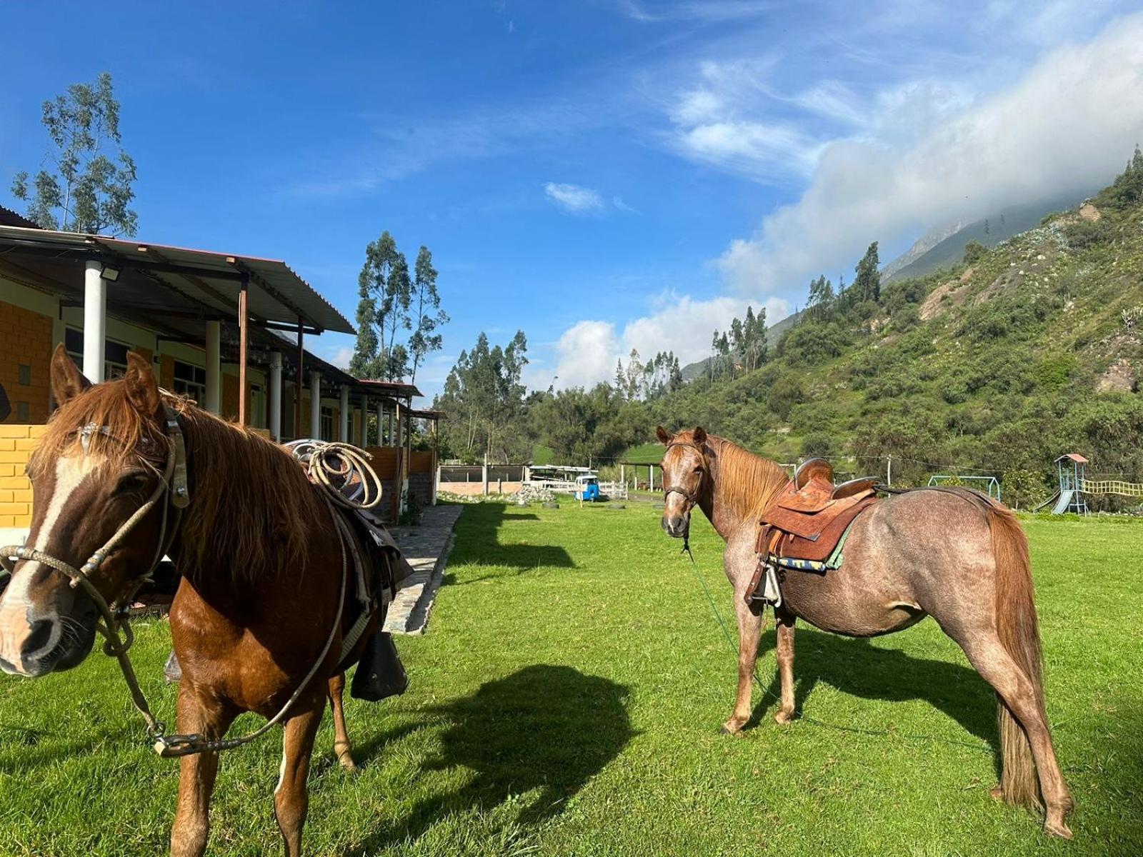 Tambo Lodge Canta Kültér fotó